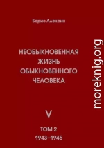 Необыкновенная жизнь обыкновенного человека. Книга 5. Том 2