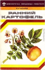 Ранний картофель