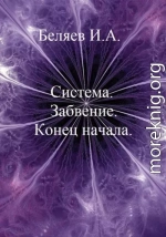 Система. Завоевание. Конец начала. Книга первая. Цикл «Икосаэдр. Бронзовый аддон»