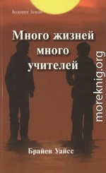 Много жизней, много учителей