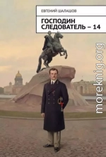 Господин следователь. Книга 14