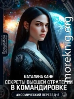 Секреты высшей стратегии в командировке