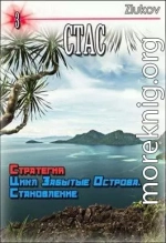 Стас. Стратегия. Цикл Забытые Острова. Становление. Книга 3.