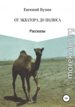 От экватора до полюса. Сборник рассказов