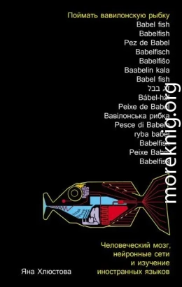 Поймать вавилонскую рыбку: Человеческий мозг, нейронные сети и изучение иностранных языков