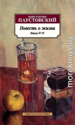 Повесть о жизни. Книги IV–VI