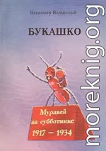 Букашко