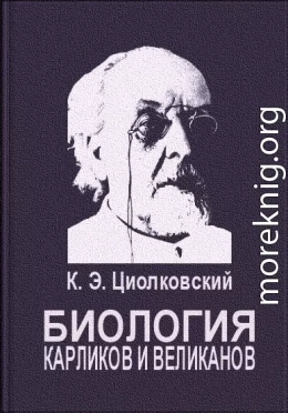 Биология карликов и великанов