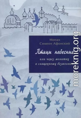 Птицы небесные или странствия души в объятиях Бога. Книга 2