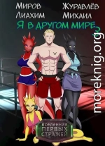 Я в другом мире - книга 3