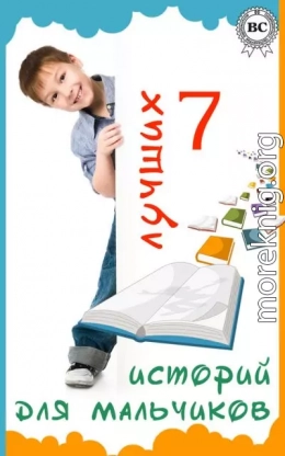 7 лучших историй для мальчиков (сборник)