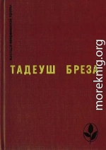 Стены Иерихона. Лабиринт