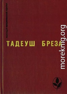 Стены Иерихона. Лабиринт