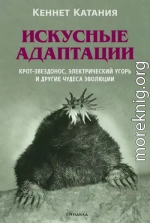 Искусные адаптации. Крот-звездонос, электрический угорь и другие чудеса эволюции