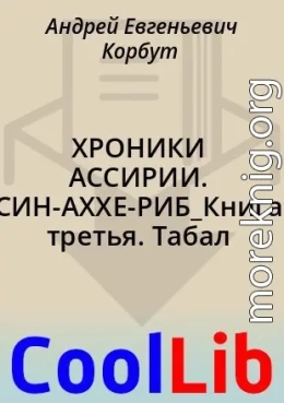 ХРОНИКИ АССИРИИ. СИН-АХХЕ-РИБ_Книга третья. Табал