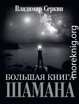 Большая книга Шамана