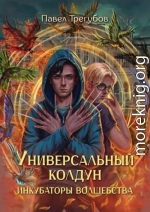 Универсальный колдун #1. Инкубаторы волшебства