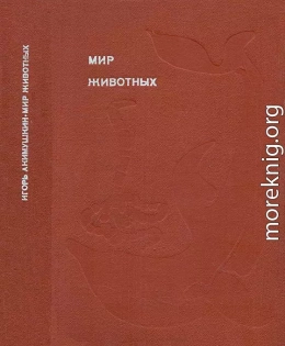 Мир животных. Рассказы о змеях, крокодилах, черепахах, лягушках, рыбах.