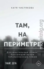 Там, на периметре