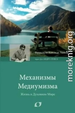 Механизмы медиумизма. Через Дух Андрэ Луиса