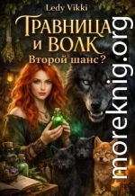 Травница и волк. Второй шанс?