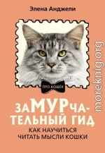 ЗаМУРчательный гид. Как научиться читать мысли кошки