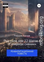 Пуд соли, или 12 Шагов в «Северном сиянии»