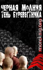  Черная молния. Тень буревестника. 