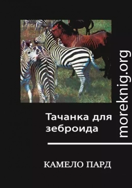 Тачанка для зеброида