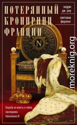 Потерянный кронпринц Франции. Борьба за власть и тайна наследника Наполеона III