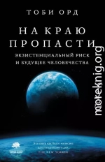 На краю пропасти. Экзистенциальный риск и будущее человечества