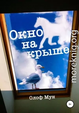 Окно на крыше