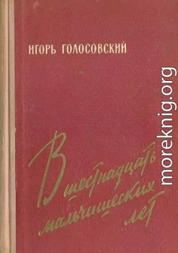 В шестнадцать мальчишеских лет