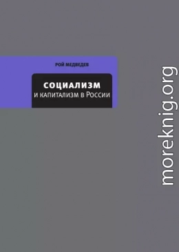 Социализм и капитализм в России