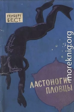 Ластоногие пловцы