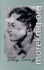 Собрание сочинений в 2-х томах. Т.2: Стихотворения. Портрет мадмуазель Таржи