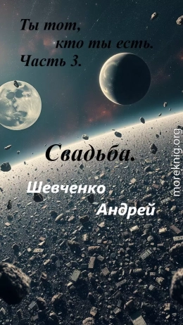 Ты тот, кто ты есть. Часть 3. Свадьба.