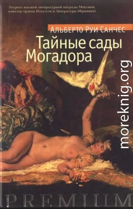 Тайные сады Могадора