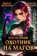 Последний Охотник на Магов. Том 4