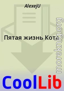 Пятая жизнь Кота