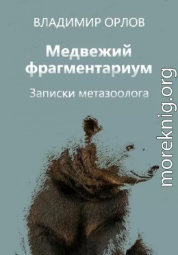 Медвежий фрагментариум. Записки метазоолога