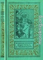 Выстрел с монитора