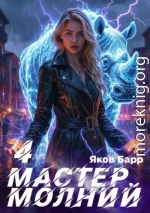 Мастер молний. Книга IV