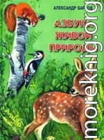 Беличий порядок