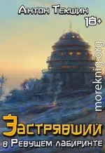 Застрявший в Ревущем лабиринте