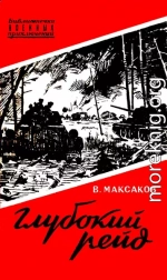 Глубокий рейд. Записки танкиста