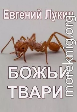 Божьи твари