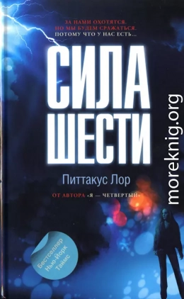 Сила шести