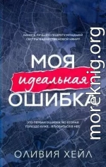 Моя идеальная ошибка (ЛП)