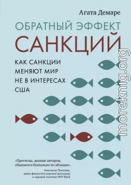 Обратный эффект санкций. Как санкции меняют мир не в интересах США